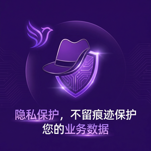 紫鸟浏览器电脑版 - 紫鸟浏览器电脑版数据加密